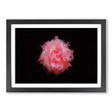 Lone Pink Carnation Framed Wall Art Poster Print Home Decor Picture Large