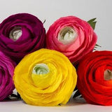 Paper Ranunculus | Home and Event Decoration