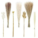 135pcs Dried Pampas Grass Dried Flowers Home Decor Arrangement Plant Pampas-1