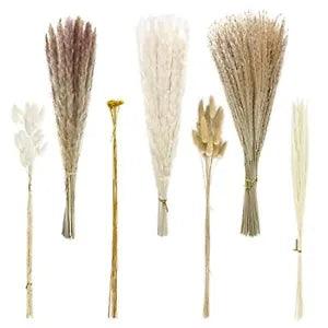 135pcs Dried Pampas Grass Dried Flowers Home Decor Arrangement Plant Wedding