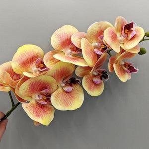 Real Touch Orchid Stems, Real Touch Flowers, Artificial Orchid Plants, Butterfly Orchid Stems, Faux Tropical Flowers, Real Touch Centerpiece