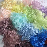 5~5.5g Natural Preserved Dried Small Leaves Hydrangea Flower Head DIY Decor NEW