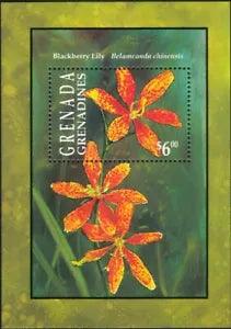 Grenadines of Grenada 1993 Lily/Lilies/Nature/Flowers/Plants 1v m/s (b490t)
