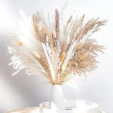 Dried Pampas Grass Decor Room Bunny Tails Dried Flowers Home Living Decor
