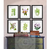 Orchids Fern Botanical Art Print set of 6 Unframed Wall Decor Prints #6B01