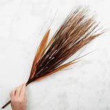 Set of 2 Factory Direct Craft Artificial Dried Feather Reedgrass 28" Bushes