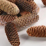 10Pcs Natural Nut Artificial Mini Pine Cones Home Wedding Christmas Tree Decor