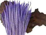 60 Pieces - 18-22" Dyed Lilac Thousand Grass Reed Preserved Dried Botanical Wall