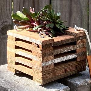 219. Salvaged Red Pine Wood Hanging Basket Planter for Orchids, Bromeliads, Ferns, Cacti, Other Epiphytes and Succulents