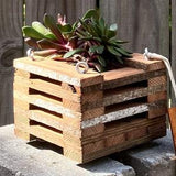 219. Salvaged Red Pine Wood Hanging Basket Planter for Orchids, Bromeliads, Ferns, Cacti, Other Epiphytes and Succulents