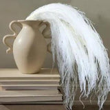 30"-35" Tall Dried Bleached Hanging Amaranthus Flowers for Decor, Bleached
