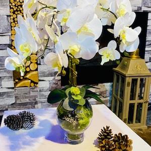 LOUVRE PARIS- white orchid in clear glass bowl - Orchids Plant Arrangement Artificial - Real touch Faux Orchid and Moss floral display