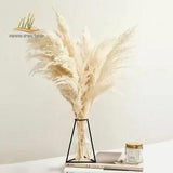 Pampas Grass Decor White Color Fluffy Natural Dried Flowers Bleached Bouquet Boh
