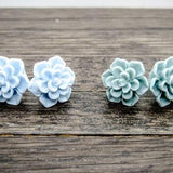 Succulent Stud Earrings, Set of 2 Pale Sky Blue and Pale Mint Green , Hypoallergenic Stainless Steel