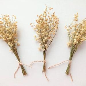 Dried lilies of the valley bouquet 20pcs, Beige mini flowers, Tiny convallaria majalis, Real natural dried flower for wedding