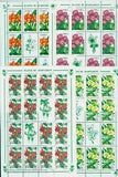 2000 Bush lily,Plumeria,Fuchsia,Senecio,Flowers,Plants,Romania,Mi.5478,KB/MS,MNH