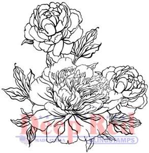 Deep Red Stamps Carnation Blooms Rubber Cling Stamp