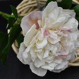 White peony cold porcelain Realistic Peony Bouquet Clay peony porcelain flowers ceramic flower botanical sculpture peony branch