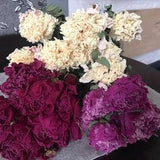 New 2023 8 Dried peonies, dried flowers, dried bouguets, peony flowers, home decor, rustic decor, nice decor wedding, beautiful flowers.
