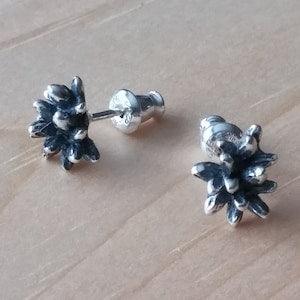Unique nature unusual sterling silver oxidized studs. Seed pod, plant seeds studs exclusive design for every day wear.