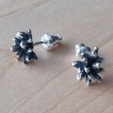 Unique nature unusual sterling silver oxidized studs. Seed pod, plant seeds studs exclusive design for every day wear.