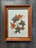 Vintage Pressed Flowers Framed Wall Art Decor Artist Signed Delphinium Botanical