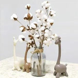Decorative Dried Cotton Flowers Gypsophila White Home Ornament Flowers Branch