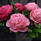 Bouquet of peony Cold porcelain peony Real touch flowers Pink peonies Peony bouquet Interior gift idea Spring flowers Artificial peony