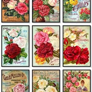 Roses Vintage Seed Catalogue Covers Set of 9 Art Prints Shabby Chic Rose Decor