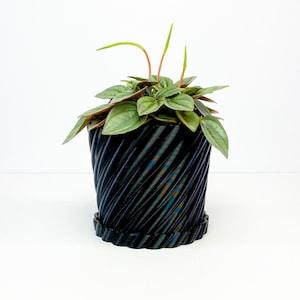 Wave Twist plant pot with water basin, drainage plant pot, well draining pot, indoor plant pot, garden gift, plant gift, succulent pot