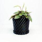 Wave Twist plant pot with water basin, drainage plant pot, well draining pot, indoor plant pot, garden gift, plant gift, succulent pot