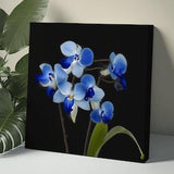 Orchid Canvas Wall Art Orchid Wall Art blue Flower Wall Art Floral Wall Art Orchid Wall Decor Orchid Art Print Painting
