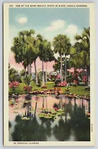 Postcard, McKee Jungle Gardens, Vero Beach, Florida, Water Lilies, Palm Trees