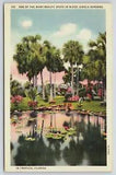 Postcard, McKee Jungle Gardens, Vero Beach, Florida, Water Lilies, Palm Trees