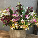 Vanda Orchid Plant with Roots, Realistic Orchid, Artificial Flowers, Home Floral Decor, Wedding Party Bloom Arrangement, Table Centerpiece