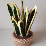 New! 10" (25.5 cm) Snake Plant, Dracaena Trifasciata, Potted Crochet Plant, Tabletop Plant, Hand Crochet