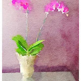 Orchid print.