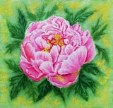 Pink Peony Original Watercolor Painting -Flower Hand Painted Floral Artwork 9x9"