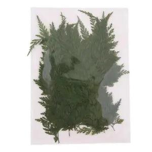 50  Dried Flower Leaves    Embellishments for Jewelry Making Accessories