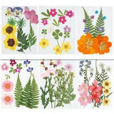 Natural Dried Pressed Flowers UV Resin Epoxy DIY Jewelry Making Craft Accessory