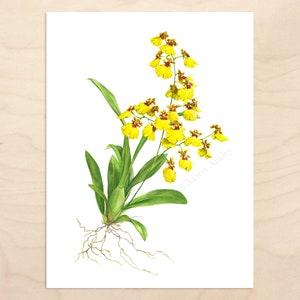 Oncidium Orchid Print -- Watercolor Botanical Art