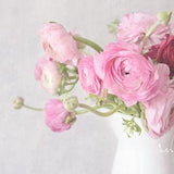 Ranunculus Photography- Pink Flowers Photo, Pink Floral Bouquet Print, Pink Ranunculus, Feminine Decor, Floral Wall Art, Still Life Art