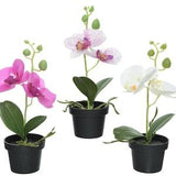 Artificial orchid in a pot 25 cm white / pink 1 piece assorted