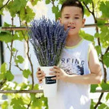 1 Bunch Lavender Natural Dried Flower Best Gift Grass GIFT --us