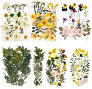 100PCS Dried Flowers for Resin Real Dry Flower Natural Pressed Died