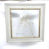 Framed Flower Queen Anne??s Lace Framed Window Bombay