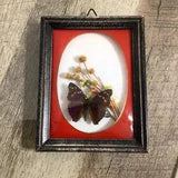 Vintage Dried Flowers & Butterfly Wall Decor in Convex Bubble Glass Frame