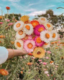 Here's How to Choose Your Wedding Flowers Based on Your Zodiac Sign Flower Delivery