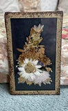 Vintage Pressed Flowers Framed Art 3 X 5 Inches