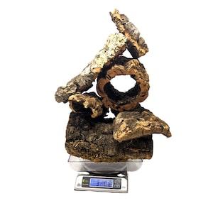 3 Pound ASSORTED Box of Virgin Cork Bark - for Orchids, Airplants, Reptiles, and Terrariums